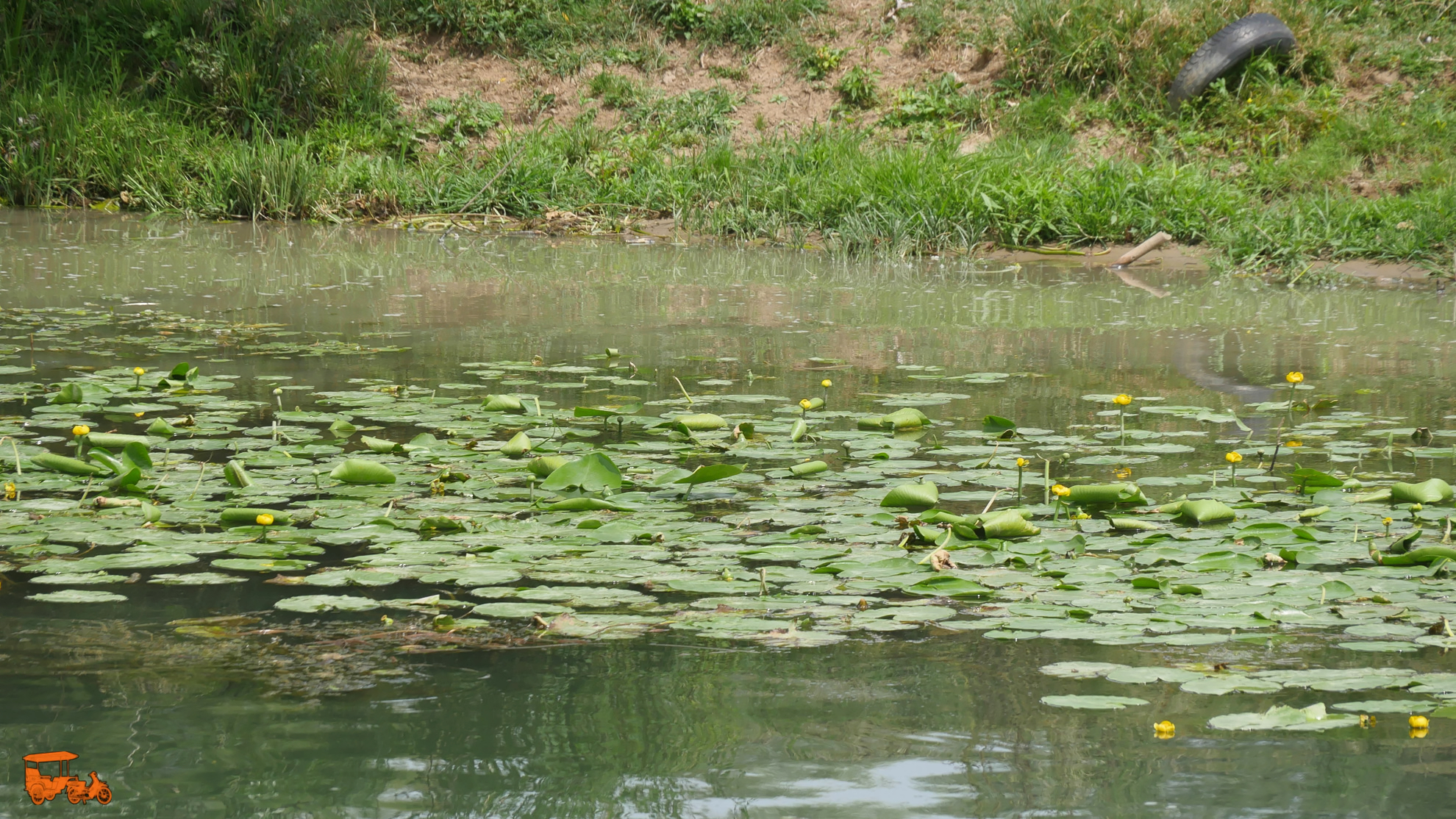 saone-delta-1980-49 DxO